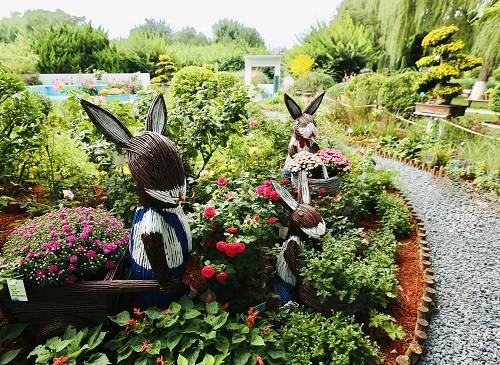 探索方集花卉，自然之美的艺术展现